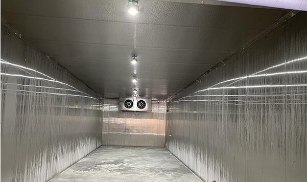云南正邦科技320立方米低溫化工防爆冷庫建造工程案例